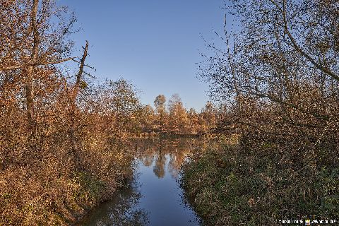 Gemeinde Kirchdorf Landkreis Rottal-Inn Waldsee Lago Herbst (Dirschl Johann) Deutschland PAN